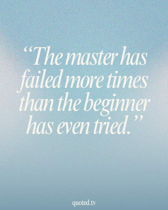 The master has failed more times than the beginner has even tried